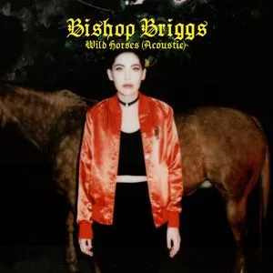 Wild Horses (Acoustic) (Single) - Bishop Briggs
