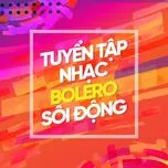 Tuyển Tập Nhạc Bolero Sôi Động - V.A