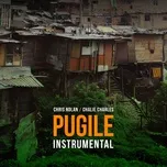 Ca nhạc Pugile (Instrumental) (Single) - Chris Nolan, Charlie Charles