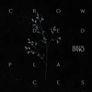 Crowded Places (Single) - Banks