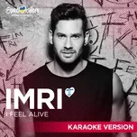 Ca nhạc I Feel Alive (Karaoke Version) (Single) - Imri