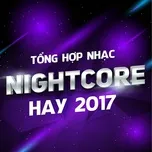 Tải nhạc Zing Tổng Hợp Nhạc Nightcore Hay 2017 chất lượng cao
