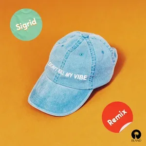 Don't Kill My Vibe (Remixes Single) - Sigrid