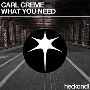 What You Need (Single) - Carl Creme