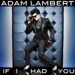 Nghe nhạc If I Had You (Singel Remixes) - Adam Lambert