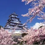 Hướng Về Nhật Bản (2011)