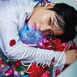 Flame Of Love (Mini Album) - Tae Min (SHINee)