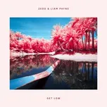 Ca nhạc Get Low (Single) - Zedd, Liam Payne