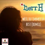Nghe nhạc Weil Du Immer Da Bist (Diggi Remix) (Single) online miễn phí