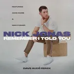 Nghe nhạc Remember I Told You (Dave Aude Remix) (Single) - Nick Jonas, Anne Marie, Mike Posner