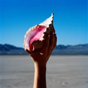 Run For Cover (Single) - The Killers