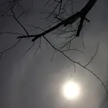 Những nốt nhạc trầm