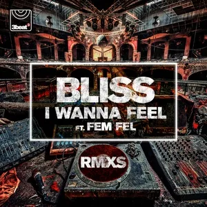 I Wanna Feel (Remixes Single) - Bliss