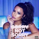 Nghe nhạc Sorry Not Sorry (Freedo Remix) (Single) - Demi Lovato