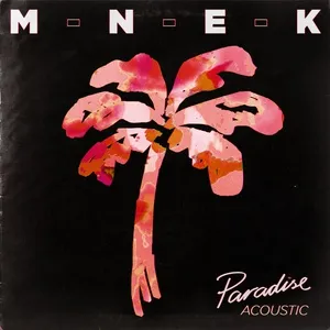 Paradise (Acoustic Single) - MNEK