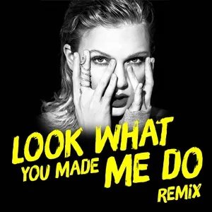 Look What You Made Me Do Remix - Taylor Swift, DJ