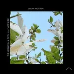 Slow Motion (Single) - The Magician, TCTS