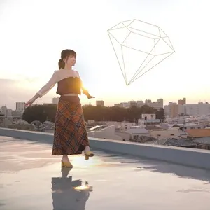 Aki Fuurin / Suteki Na Koto Ga Anata Wo Matte Iru (Single) - Fujita Maiko