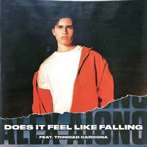 Does It Feel Like Falling (Single) - Alex Aiono, Trinidad Cardona