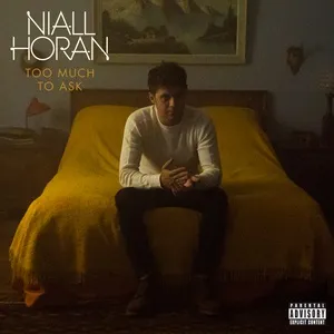 Too Much To Ask (Single) - Niall Horan