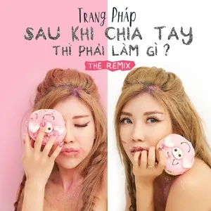 Sau Khi Chia Tay Thì Phải Làm Gì Remix (Single) - Trang Pháp, Huniixo, Dương Khắc Linh, V.A