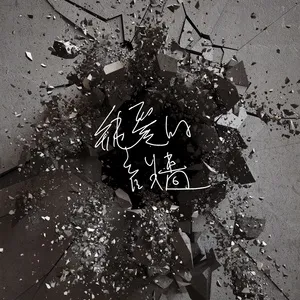 Shui Bu Zhao (Chun Ai De Yin Qiang) (Single) - Plastic Music