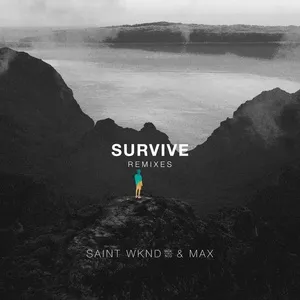 Survive (Remixes EP) - Saint WKND, MAX