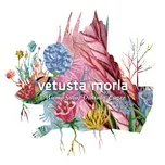 Nghe nhạc Mismo Sitio, Distinto Lugar - Vetusta Morla