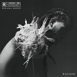 Nghe nhạc Mwaka Moon (Single) - Kalash, Damso