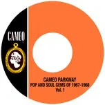 Download nhạc hay Cameo Parkway Pop And Soul Gems Of 1967-1968 Vol.1 hot nhất về điện thoại