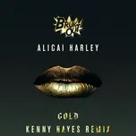 Nghe và tải nhạc hot Gold (Kenny Hayes Remix) (Single) Mp3