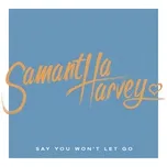 Nghe và tải nhạc hot Say You Won't Let Go (Single) online miễn phí