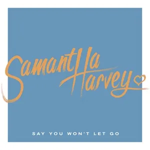 Say You Won't Let Go (Single) - Samantha Harvey