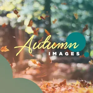 Autumn Images - V.A