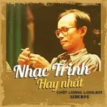 Nghe nhạc Nhạc Trịnh Hay Nhất - V.A