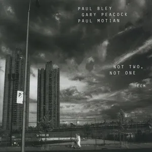 Not Two, Not One - Paul Bley, Gary Peacock, Paul Motian
