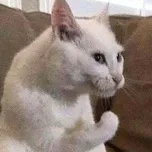 V Playlist