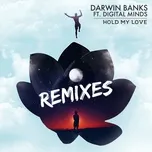 Hold My Love Remixes (Single) - Darwin Banks