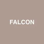 Nghe nhạc Falcon (Single) - Jaden Smith, Raury