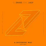 Ca nhạc A Different Way (Noizu Remix) (Single) - DJ Snake, Lauv
