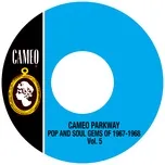 Nghe nhạc Cameo Parkway Pop And Soul Gems Of 1967-1968 Vol. 5 miễn phí tại NgheNhac123.Com