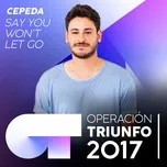 Tải nhạc hay Say You Won't Let Go (Operacion Triunfo 2017) (Single) online