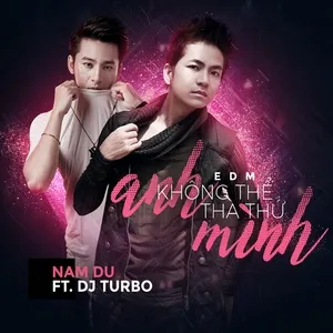 Anh Không Thể Tha Thứ Mình Remix (Single) - Nam Du, DJ Turbo