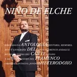 Nghe nhạc Antologia Del Cante Flamenco Heterodoxo - Nino De Elche