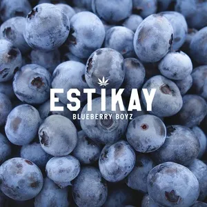 Blueberry Boyz (Single) - Estikay