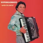 Tải nhạc Apos Ta Certo - Dominguinhos