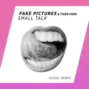 Small Talk (Hugel Remix) (Single) - Fake Pictures, Tiger Park