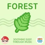 Tải nhạc hay Forest - Soothing Sleep Through Music