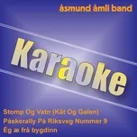 Nghe nhạc Karaoke (Single) - Asmund Amli Band