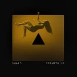 Trampoline (Single) - Shaed